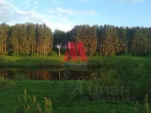 Участок в Ярославская область, Гаврилов-Ямский муниципальный округ, ... - Фото 1