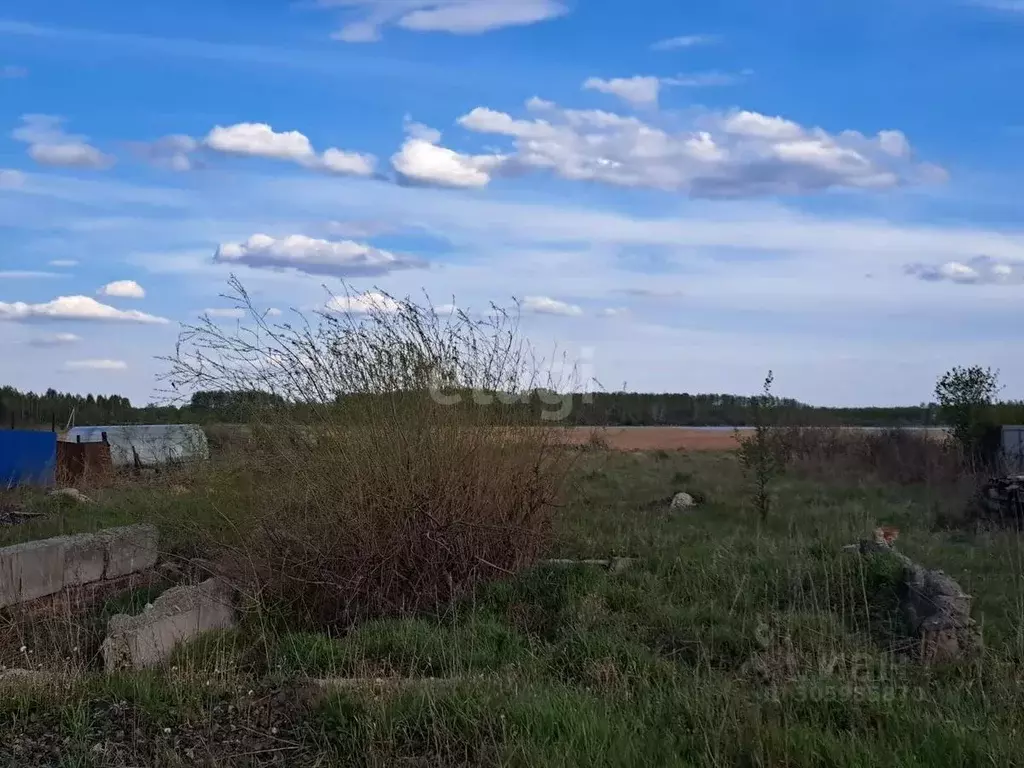 участок в тюменская область, ишимский район, д. ваньковка молодежная . - Фото 0