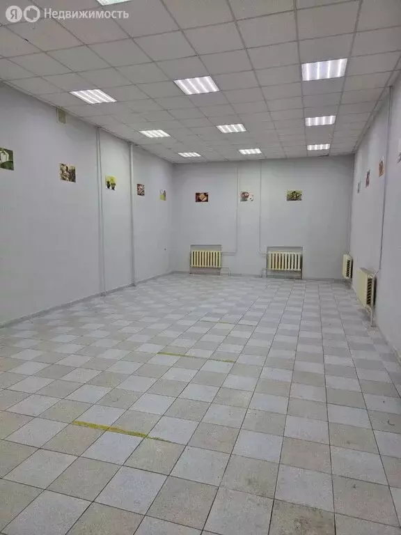 Помещение свободного назначения (93 м) - Фото 1