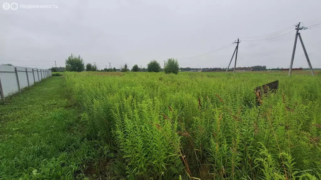 Участок в Тульская область, городской округ Тула, деревня Страхово ... - Фото 1