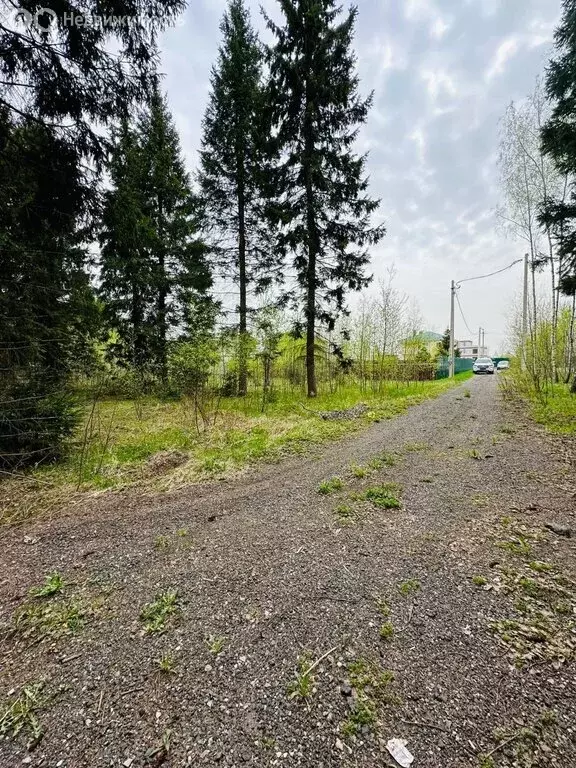 Участок в Московская область, городской округ Домодедово, село ... - Фото 1