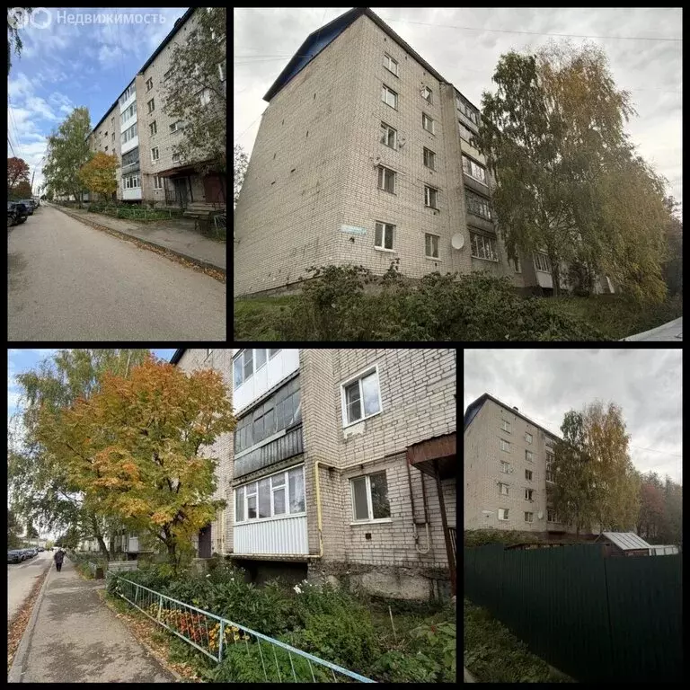 2-комнатная квартира: село Выльгорт, улица Домны Каликовой, 110А (49 ... - Фото 1