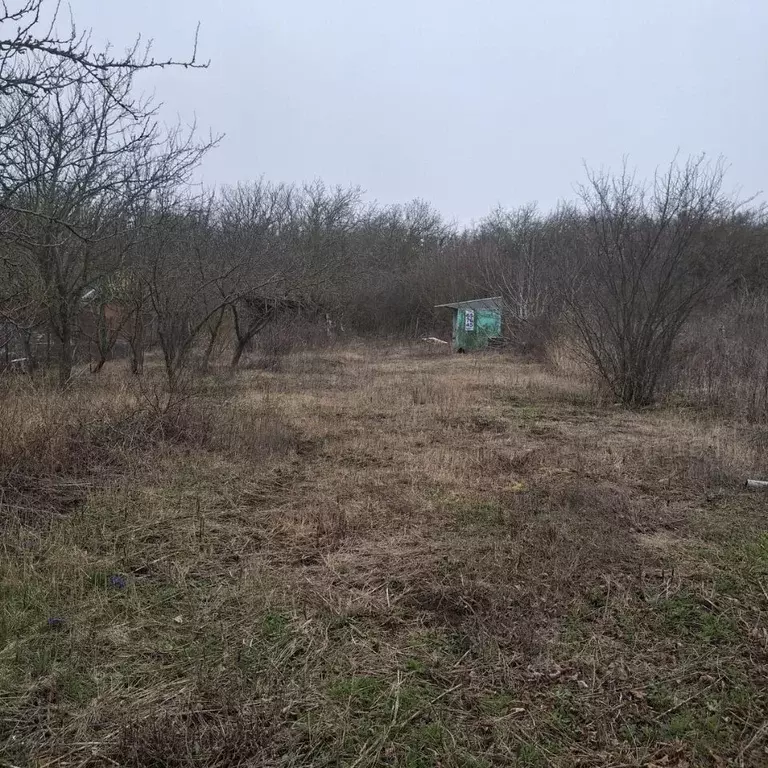 Участок в Ставропольский край, Ставрополь Виктория садовое ... - Фото 1