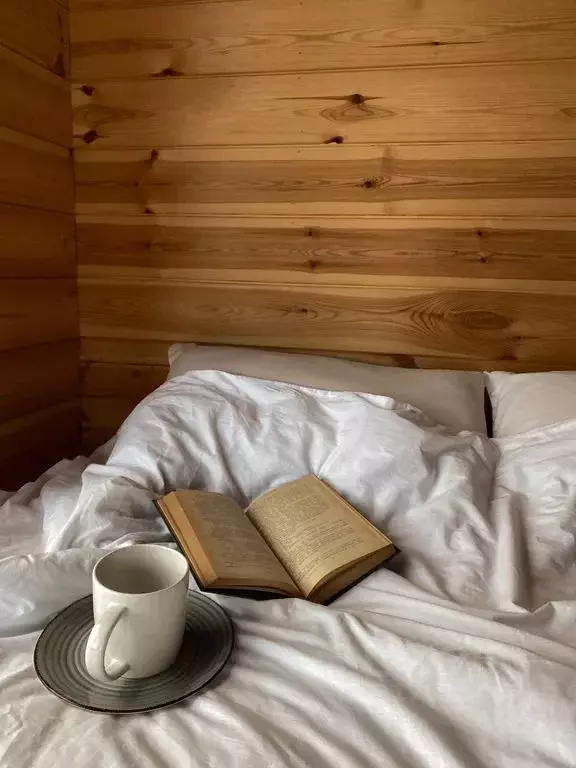 Дом в Ивановская область, Приволжский район, Плесское городское ... - Фото 1