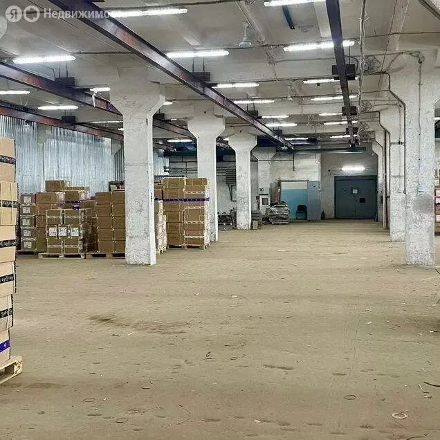 Помещение свободного назначения (800 м) - Фото 1