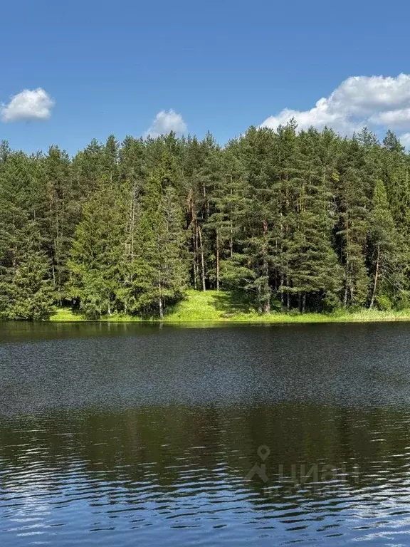 Участок, 28 сот., поселения (ижс) - Фото 2