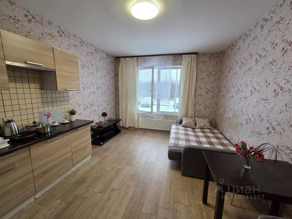 Студия Ленинградская область, Сертолово Всеволожский район, ул. ... - Фото 2