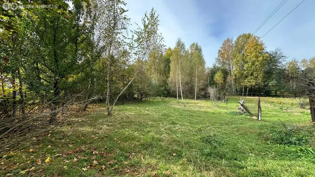 Участок в Нижегородская область, Бор (9 м) - Фото 1