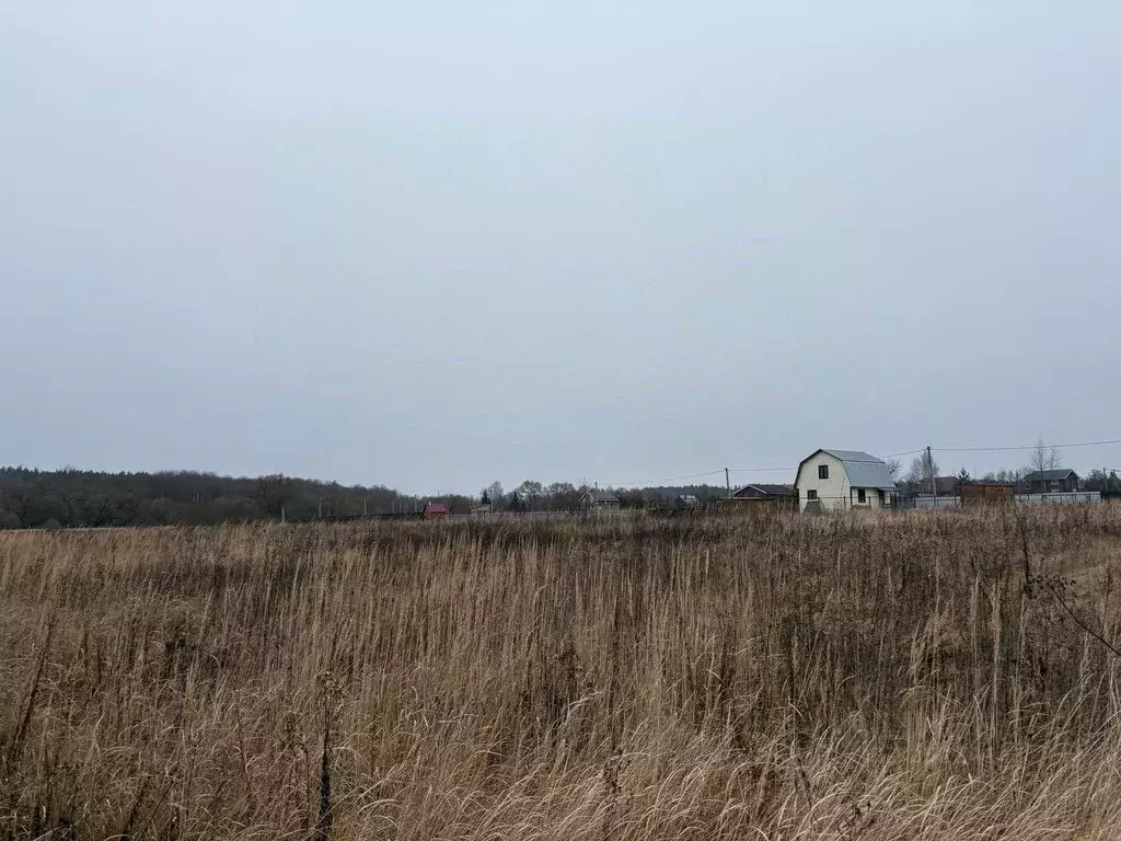 Участок в Московская область, Воскресенск городской округ, с. ... - Фото 1