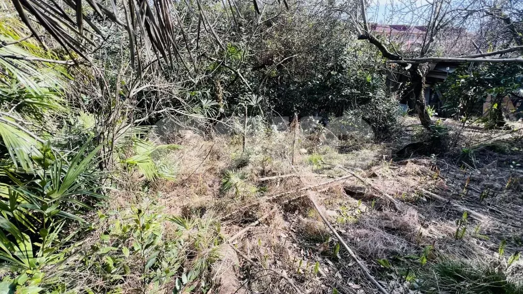 Участок в Краснодарский край, Сочи Новый Сочи мкр, ул. Цюрупы, 50 (8.9 ... - Фото 2