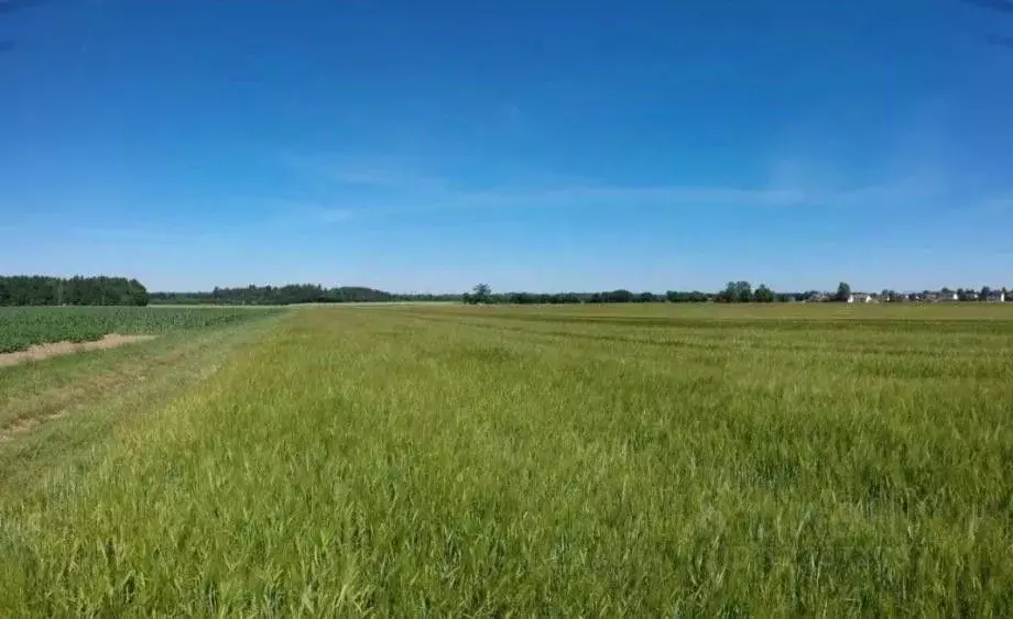 Участок в Крым, Ленинский район, Семисотское с/пос, с. Фронтовое  ... - Фото 1