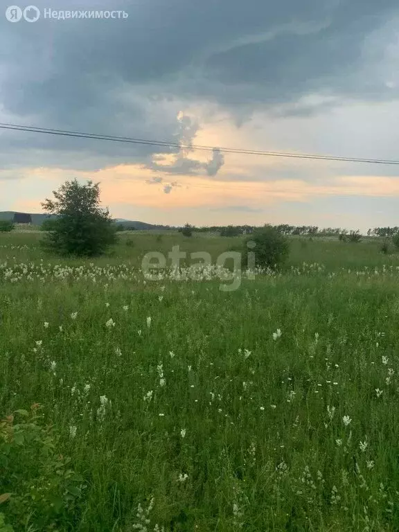 Участок в Майминский район, село Подгорное, Заречная улица (12 м) - Фото 1