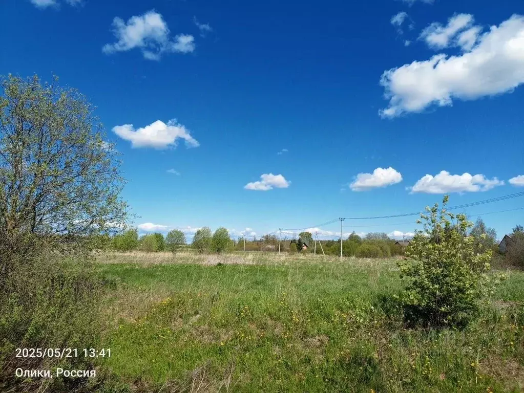 Участок в Ленинградская область, Ломоносовский район, Ропшинское ... - Фото 1