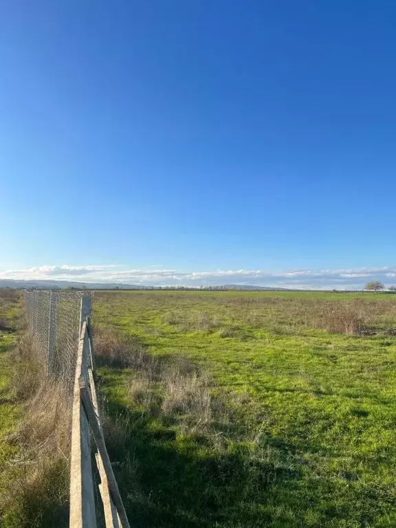 Участок в Кабардино-Балкария, Чегемский район, с. Шалушка ул. Имени ... - Фото 1