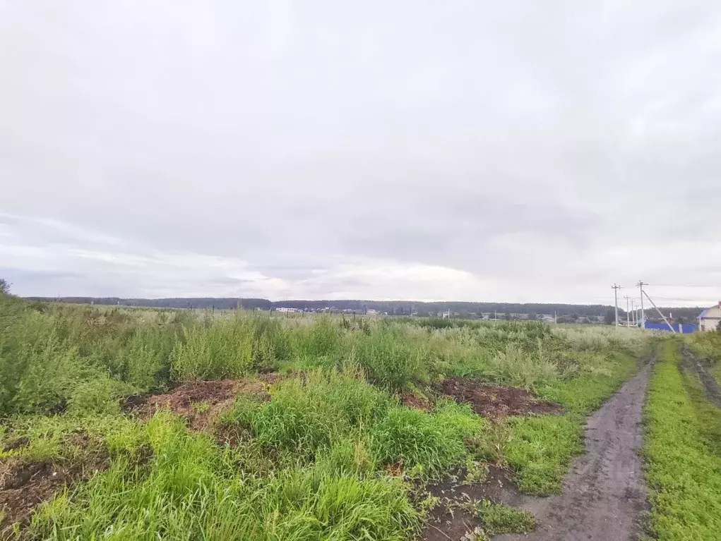 Производственное помещение в Свердловская область, Сысертский ... - Фото 1
