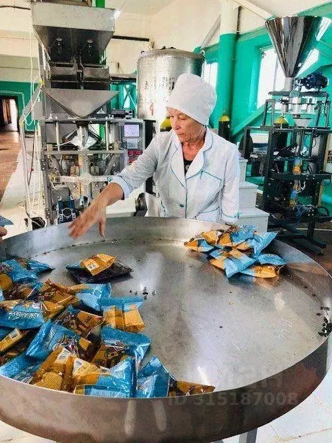 Производственное помещение в Самарская область, Безенчукский район, ... - Фото 1