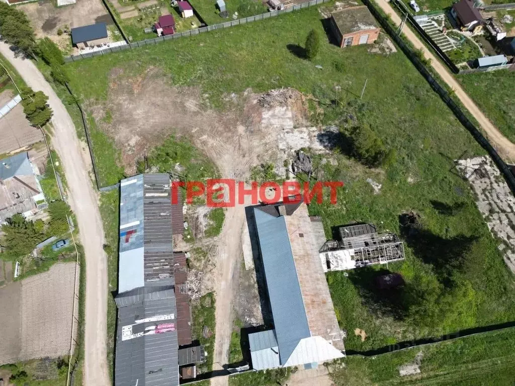 Участок в Новосибирская область, Новосибирский район, Кубовинский ... - Фото 1