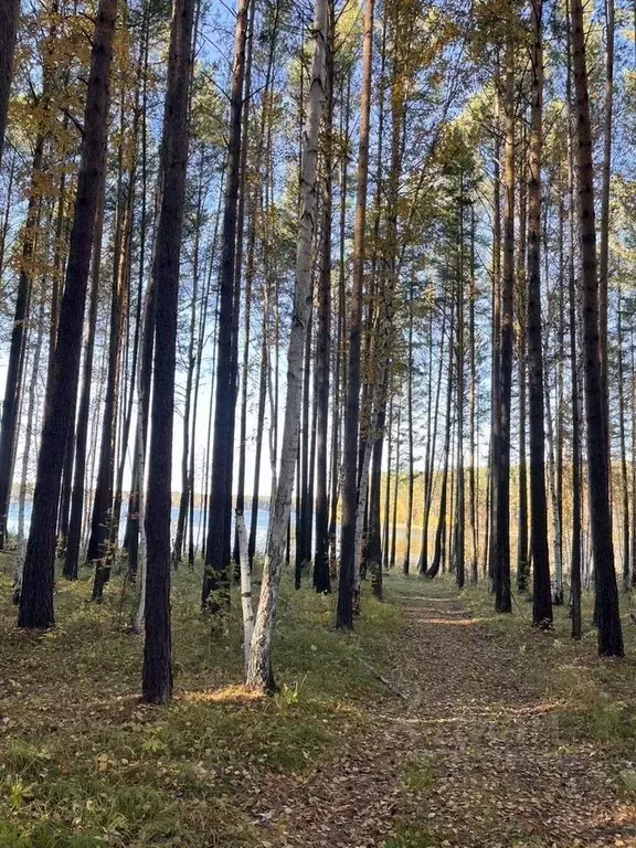 Участок в Иркутская область, Иркутский муниципальный округ, Петровская ... - Фото 1