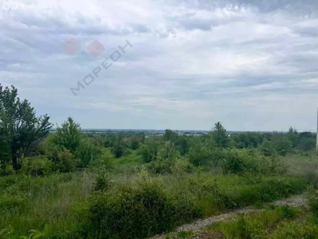 Участок в станица Смоленская, Степная улица (9.95 м) - Фото 0