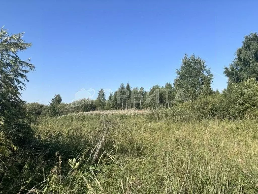 Участок в Тюменская область, Тюменский муниципальный округ, д. ... - Фото 1