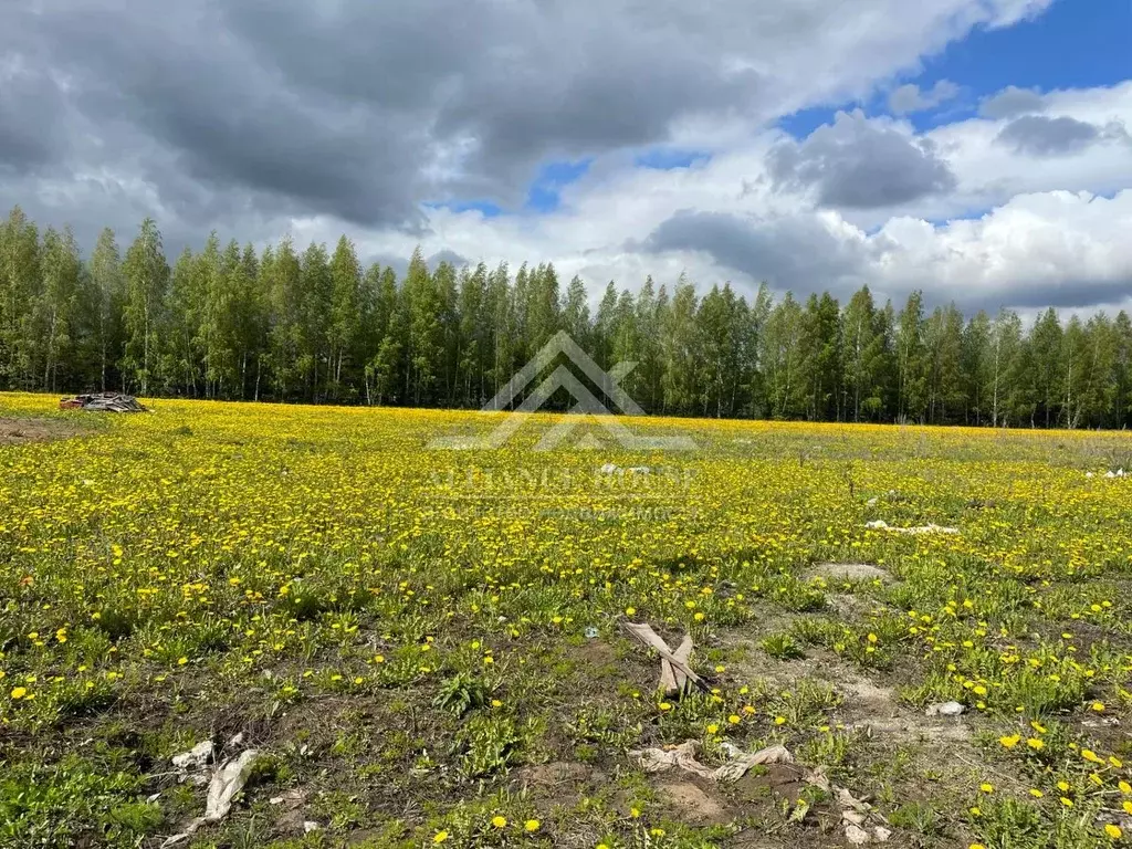 Участок в Татарстан, Лаишевский район, Егорьевское с/пос, д. Пальцовка ... - Фото 1