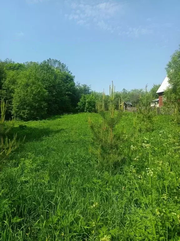 Участок в Владимирская область, Суздальский район, Новоалександровское ... - Фото 0