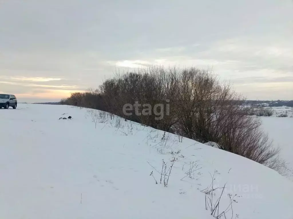 Участок в Воронежская область, Рамонский район, Новоживотинновское ... - Фото 0