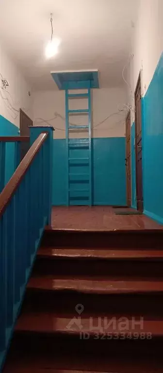 3-к кв. Брянская область, Фокино ул. Калинина, 11 (68.7 м) - Фото 2