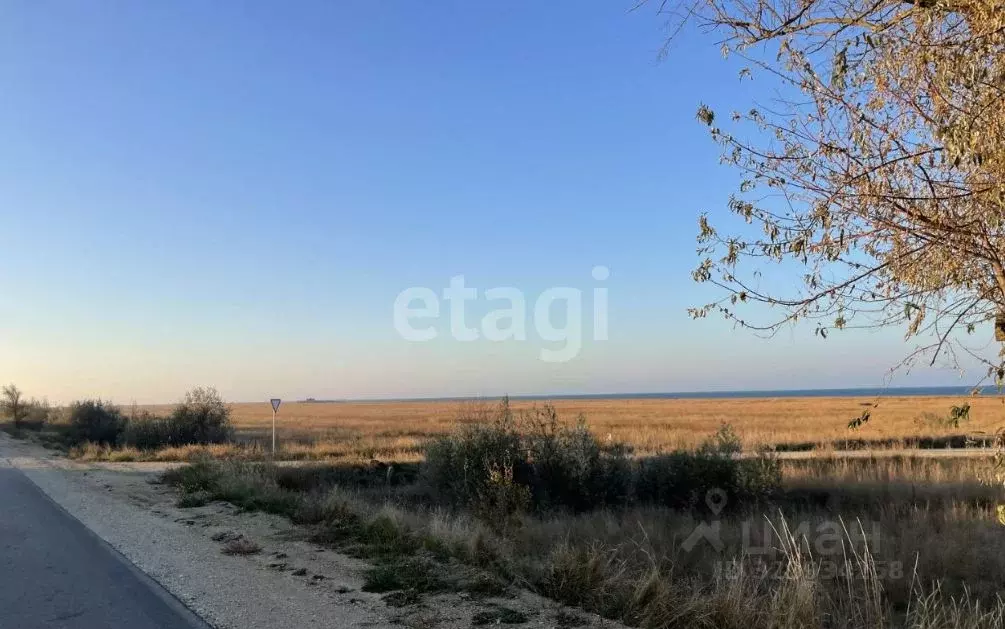 Участок в Крым, Раздольненский район, Славновское с/пос, Отдых СНТ  ... - Фото 1