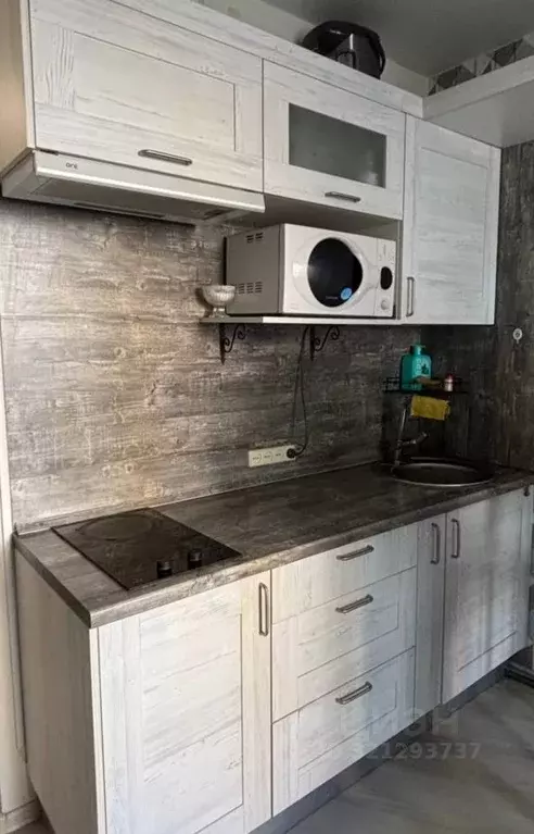 Студия Пензенская область, Пензенский район, Засечный сельсовет, с. ... - Фото 2