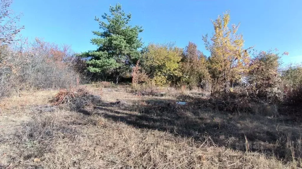 Участок в Саратовская область, Саратов проезд 9-й Большой Семхозовский ... - Фото 1