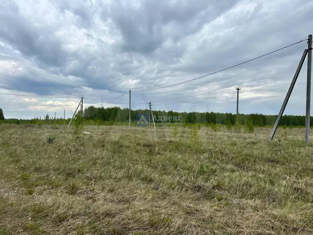 Участок в Тюменская область, Тюменский район, с. Каменка  (10.0 сот.) - Фото 1