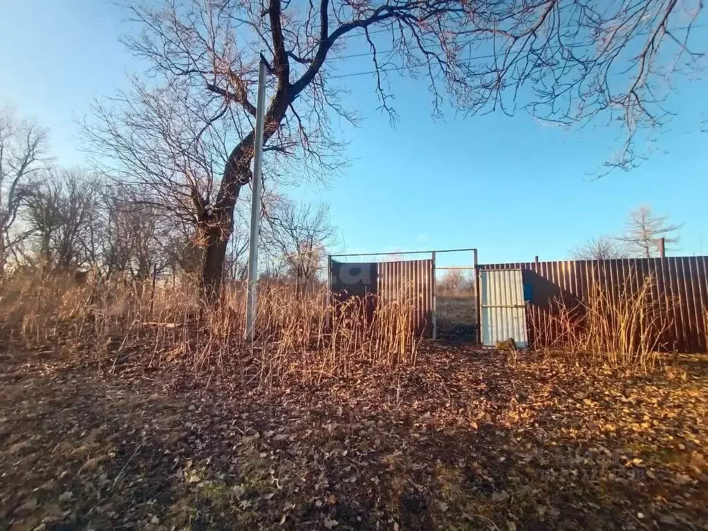 Участок в Тульская область, Богородицкий район, Бегичевское с/пос, д. ... - Фото 1