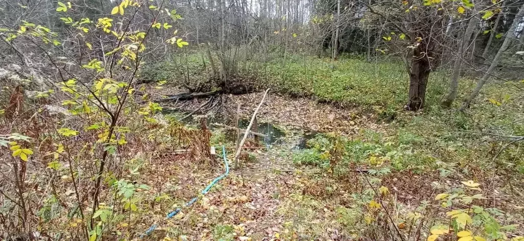 Участок в Вологодская область, Возрождение садоводческое товарищество ... - Фото 1