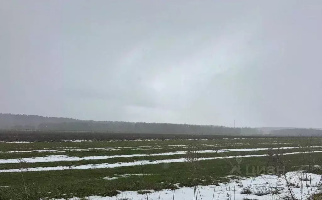 Участок в Московская область, Богородский городской округ, д. Соколово ... - Фото 1