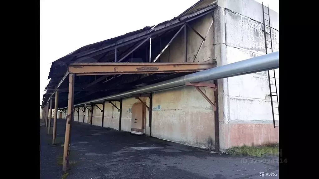 Склад в Ханты-Мансийский АО, Сургут Пионерная ул., 11/2 (1900 м) - Фото 2