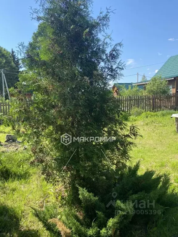 Дом в Новосибирская область, Новосибирск Заря садовое товарищество,  ... - Фото 1