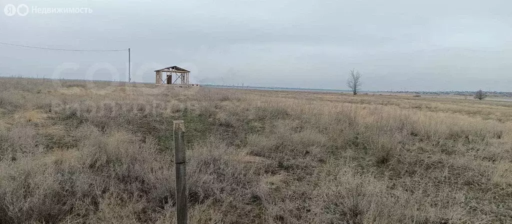 Участок в Волгоград, Краснодарская улица, 103 (7.86 м) - Фото 1
