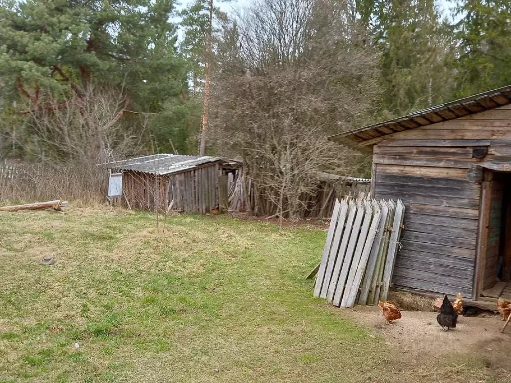 Красные станки новгородская область. Станки Новгородская область. Деревня красные станки Новгородский район. Красные станки Новгородская область фото д 47.