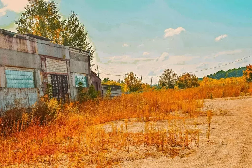 Склад в Саратовская область, Лысогорское муниципальное образование, . - Фото 1
