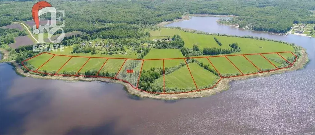 Участок в Ярославская область, Угличский муниципальный округ, д. ... - Фото 1