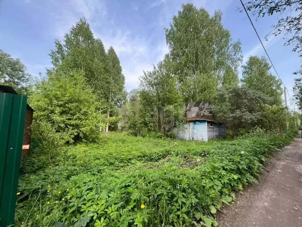 Участок в Вологодская область, Вологда Сохатый садоводческое ... - Фото 2