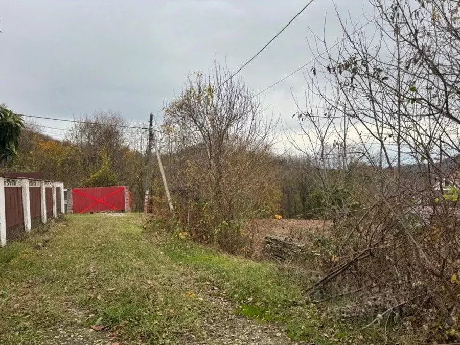 Участок в Краснодарский край, Сочи городской округ, с. Волковка  (7.41 ... - Фото 0