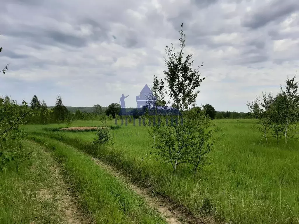 Участок в Нижегородская область, Лысковский район, с. Окишино  ... - Фото 2
