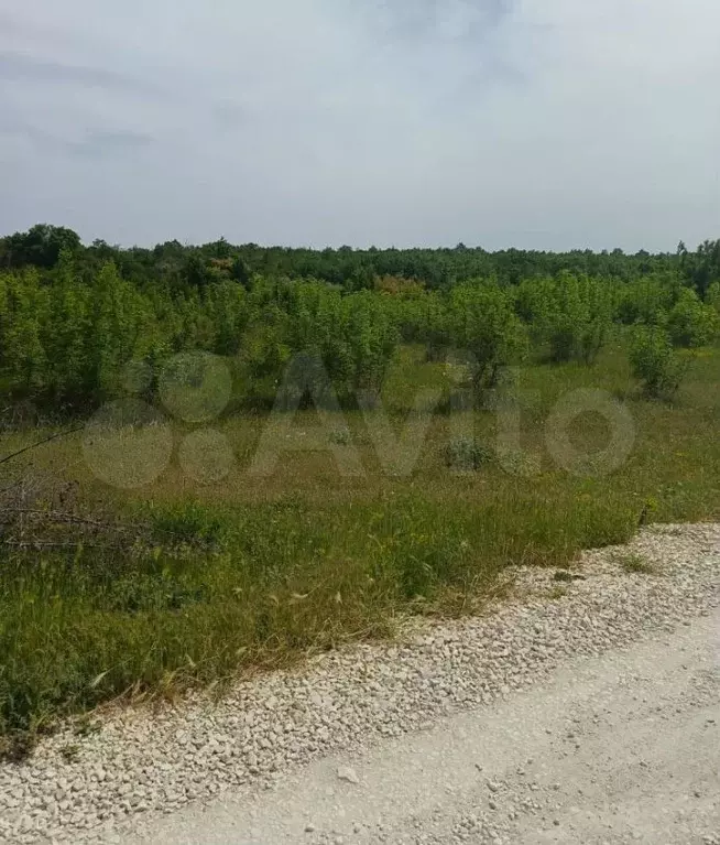 Участок 5,3 сот. (ИЖС) - Фото 1