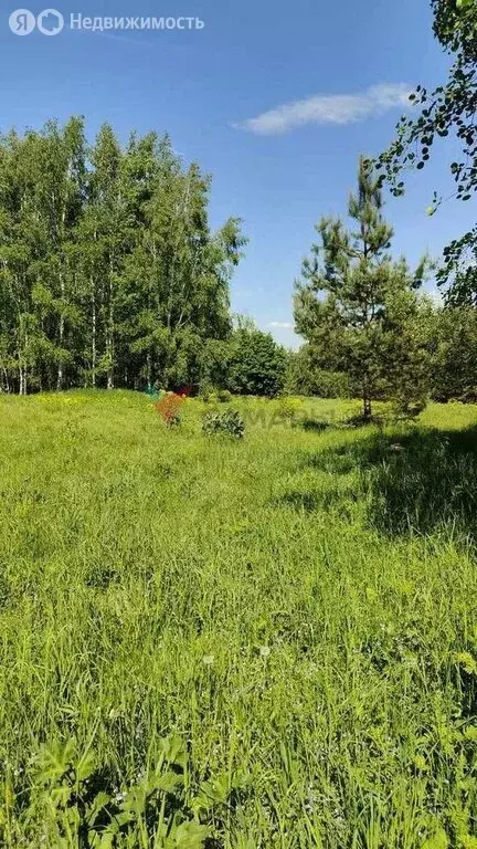 Участок в посёлок Орешенка, Зелёная улица, 18 (14.5 м) - Фото 0