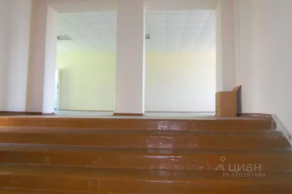 Помещение свободного назначения в Саратовская область, Екатериновка рп ... - Фото 1