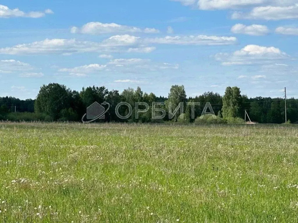 Участок в Тюменская область, Тюменский район, д. Елань Васильковая ... - Фото 0