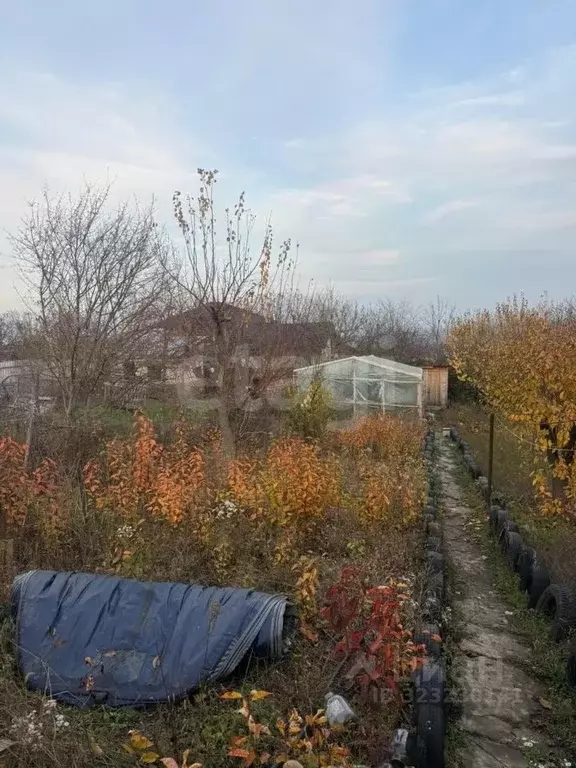 Участок в Ставропольский край, Ставрополь Лесные Пруды садовое ... - Фото 2