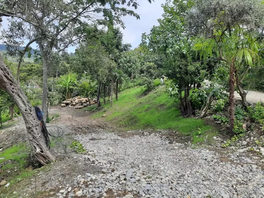 Участок в Краснодарский край, Сочи Новороссийское ш., 6/8 (8.0 сот.) - Фото 2